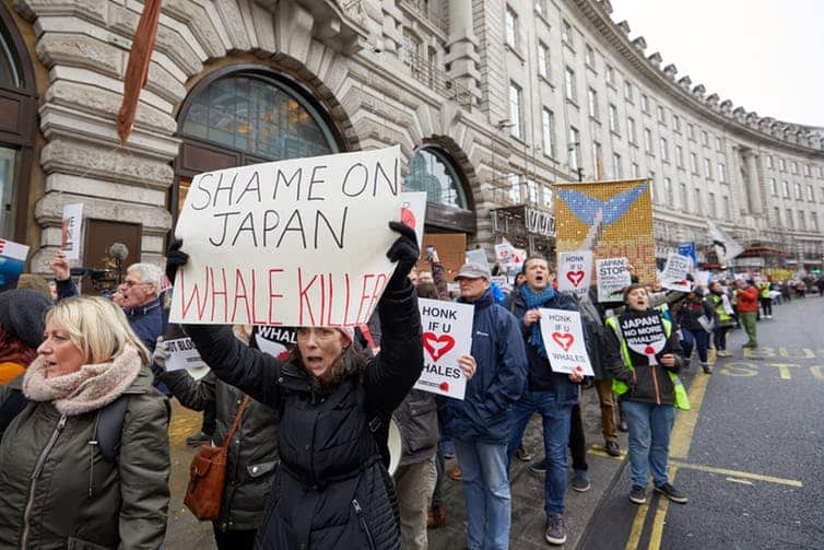 Protesters march in London to demonstrate against Japan’s decision to resume commercial whaling, January 2019.