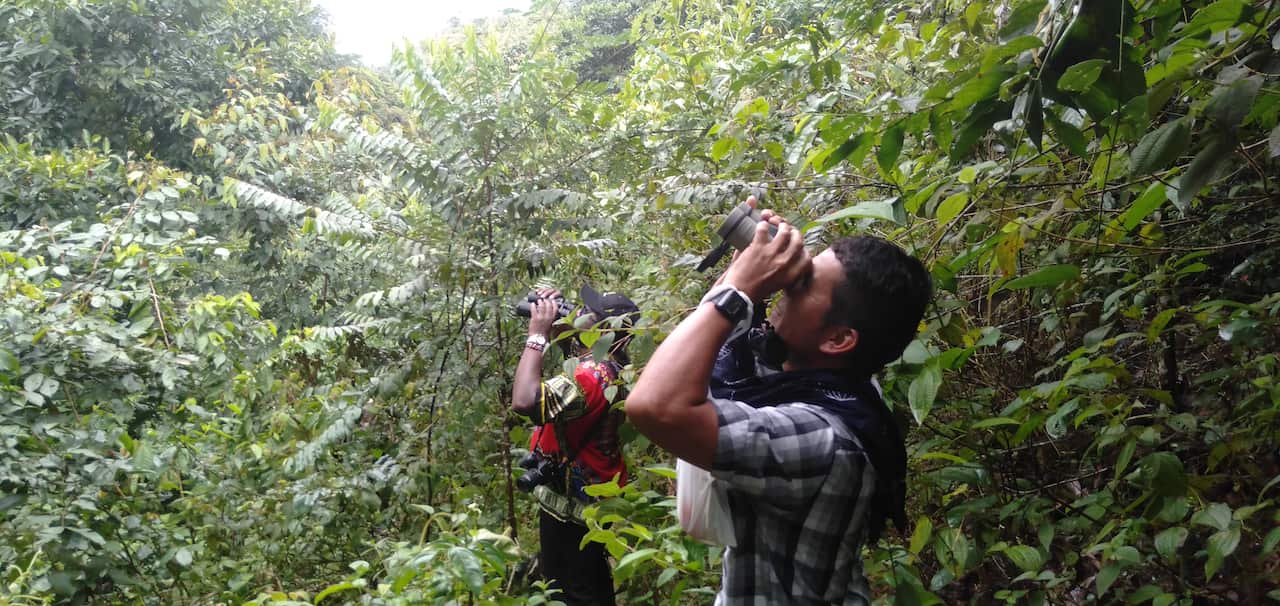 Ex-combatants learned to survey birds, plants and other wildlife.