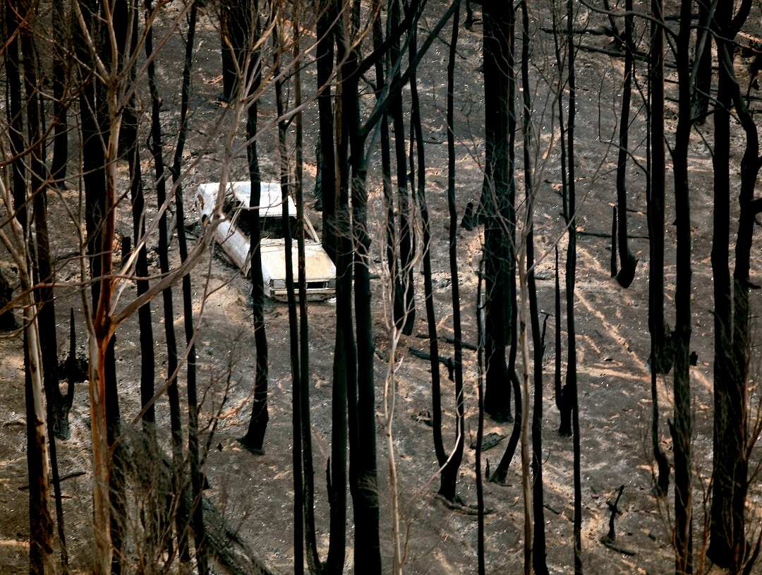 Death Toll Nears 200 As Bushfires Continue To Blaze Through Victoria