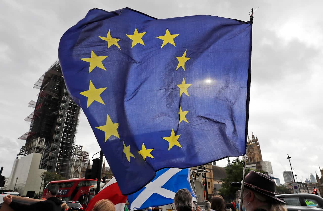A EU supporter waves a flag in front of parliament in London.