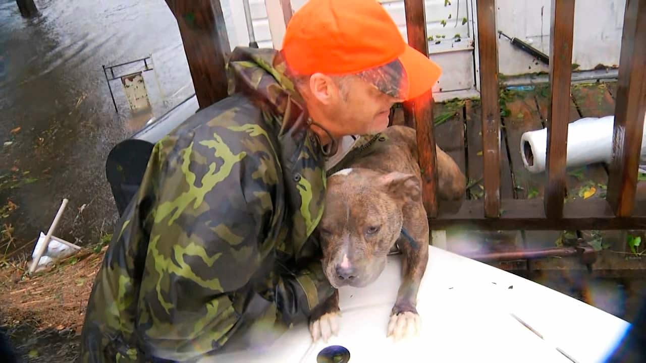 A dog is rescued from floodwaters in Jacksonville, North Carolina.