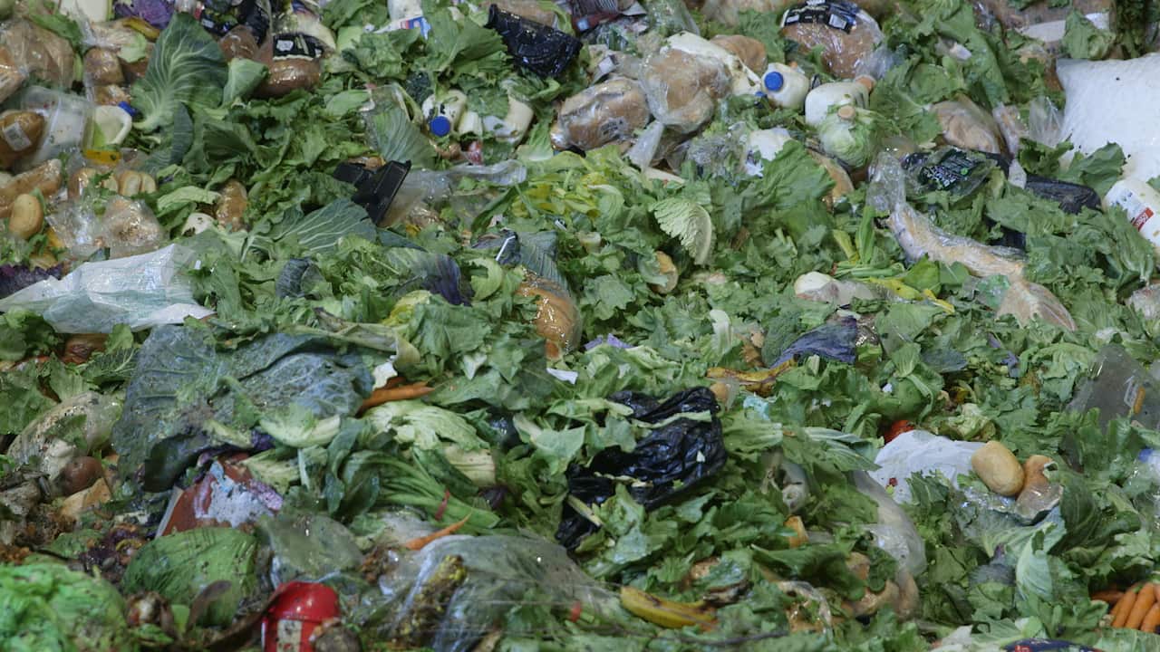 Discarded green vegetables 