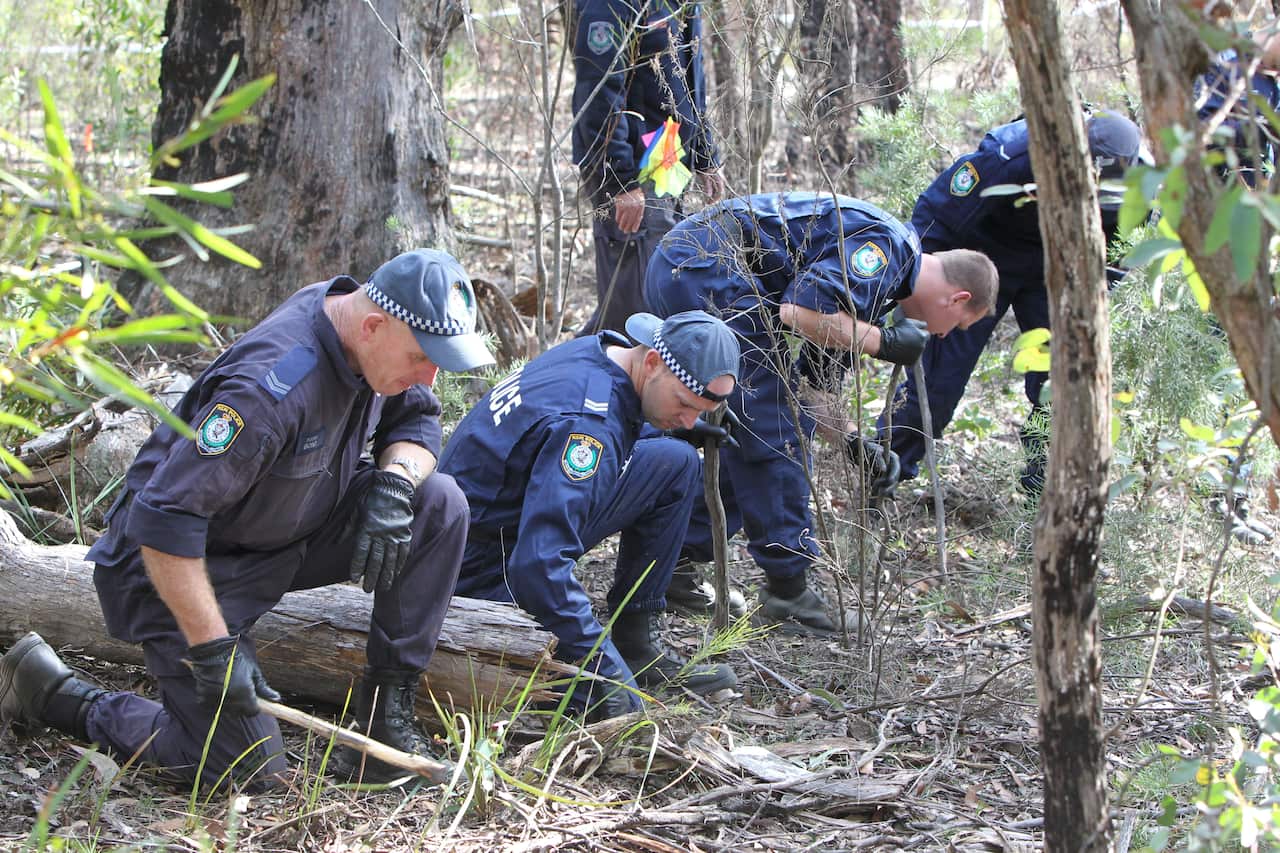 NSW police search Belanglo State Forest in the hunt for fresh human bones. Milat used the heavily wooded forest as a dumping ground for bodies.