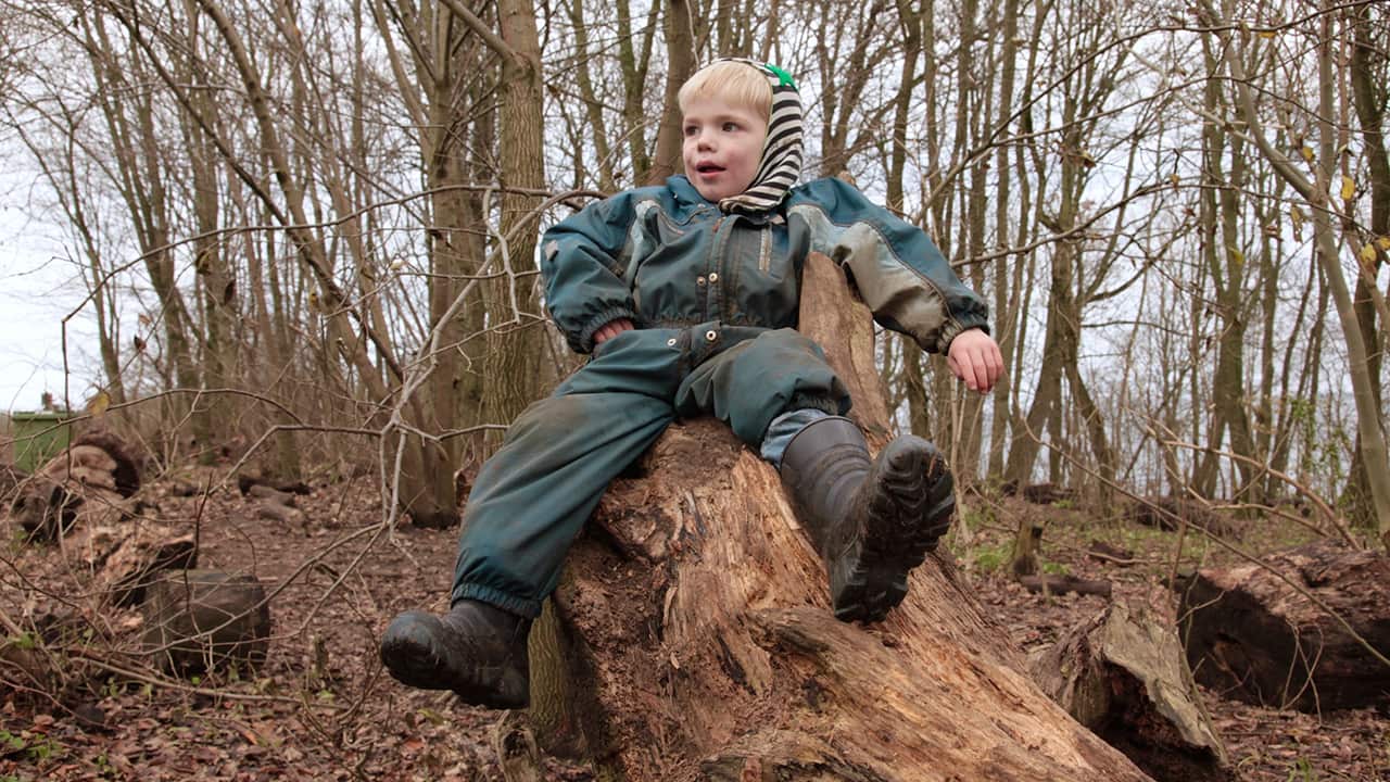Who needs furniture when you can rest from exploring on a tree stump? (Photo: Marianne Borowiec)