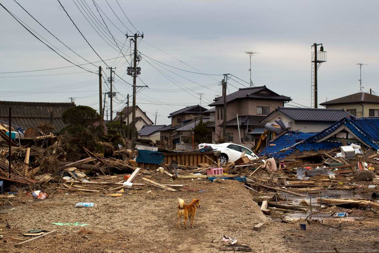 A tsunami-destroyed neighborhood in the Odaka area of Minamisoma, inside the deserted evacuation zone established around the Fukushima Dai-ichi nuclear reactors on 8 April 2011.