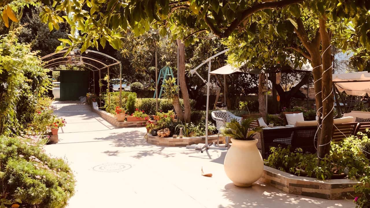 The garden of Rasha Budeiri's family home in Sheikh Jarrah.