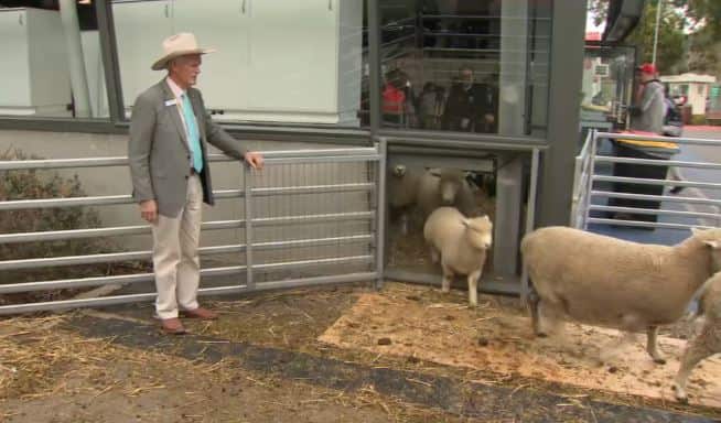 Gavin Wall at the Melbourne Showgrounds.