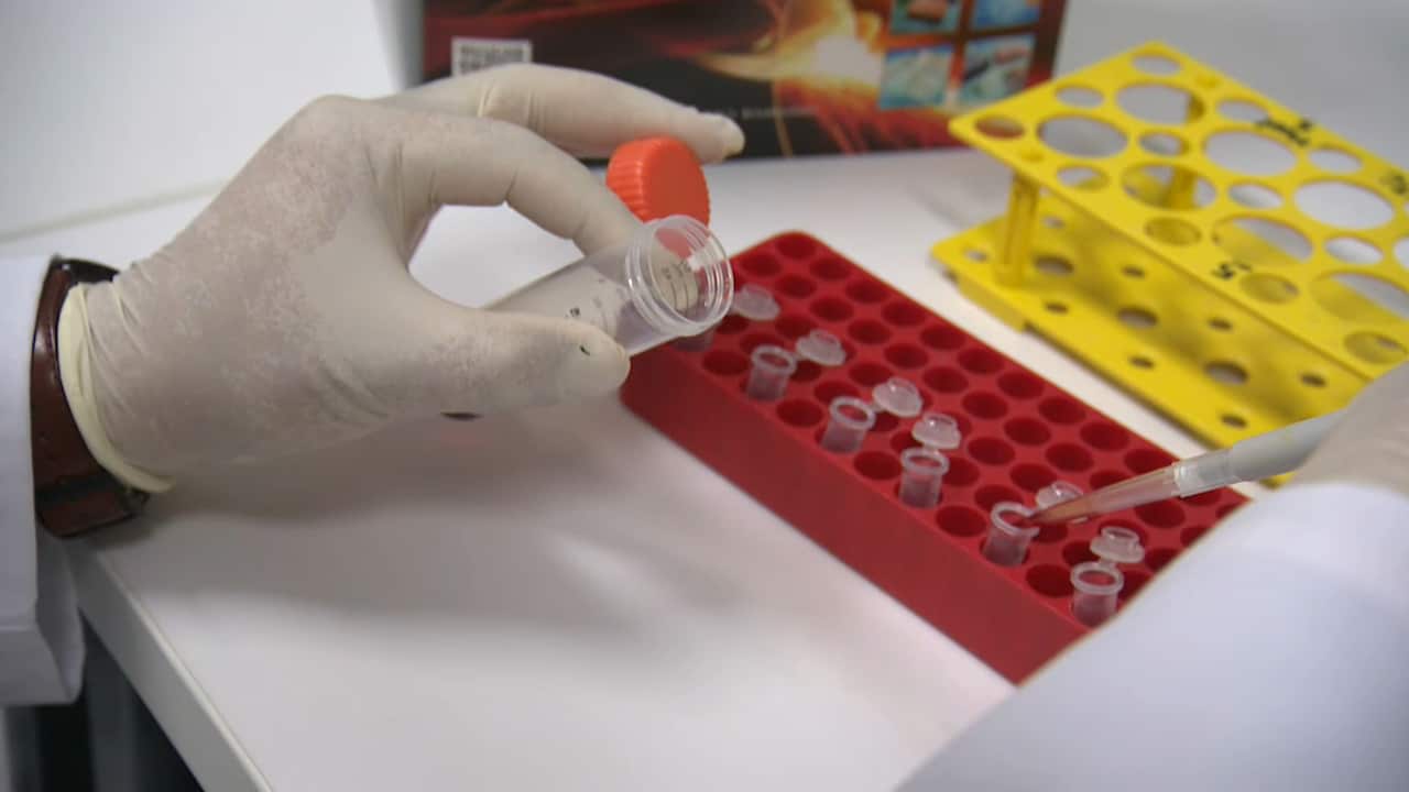 Scientists at Melbourne's Hudson Institute of Medical Research have undertaken the groundbreaking work.