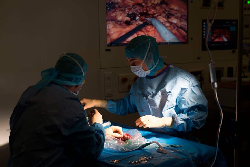 Of the research studied, 92 per cent failed to report on whether the organs had been sourced from executed prisoners.