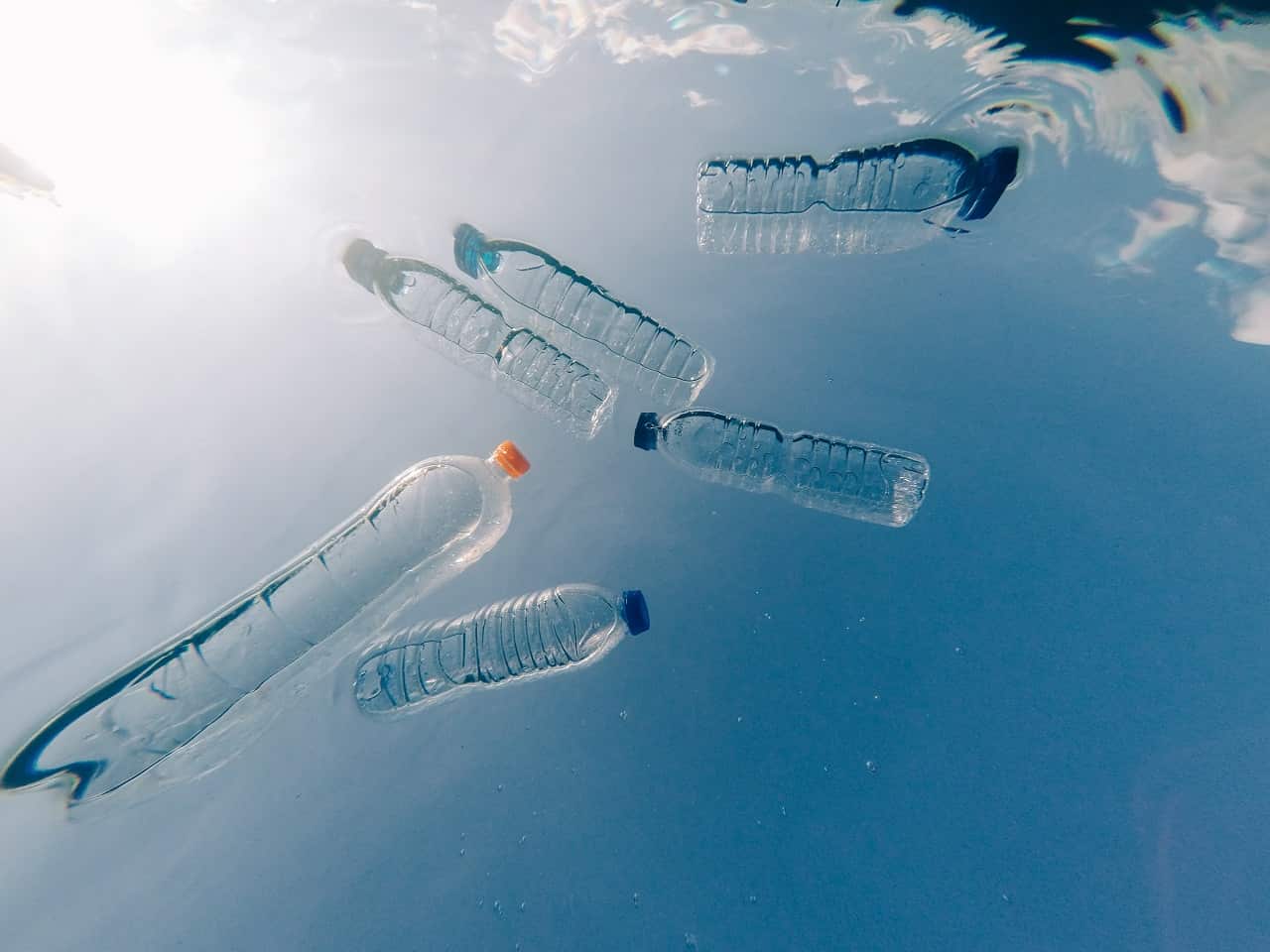 Plastic in the ocean.