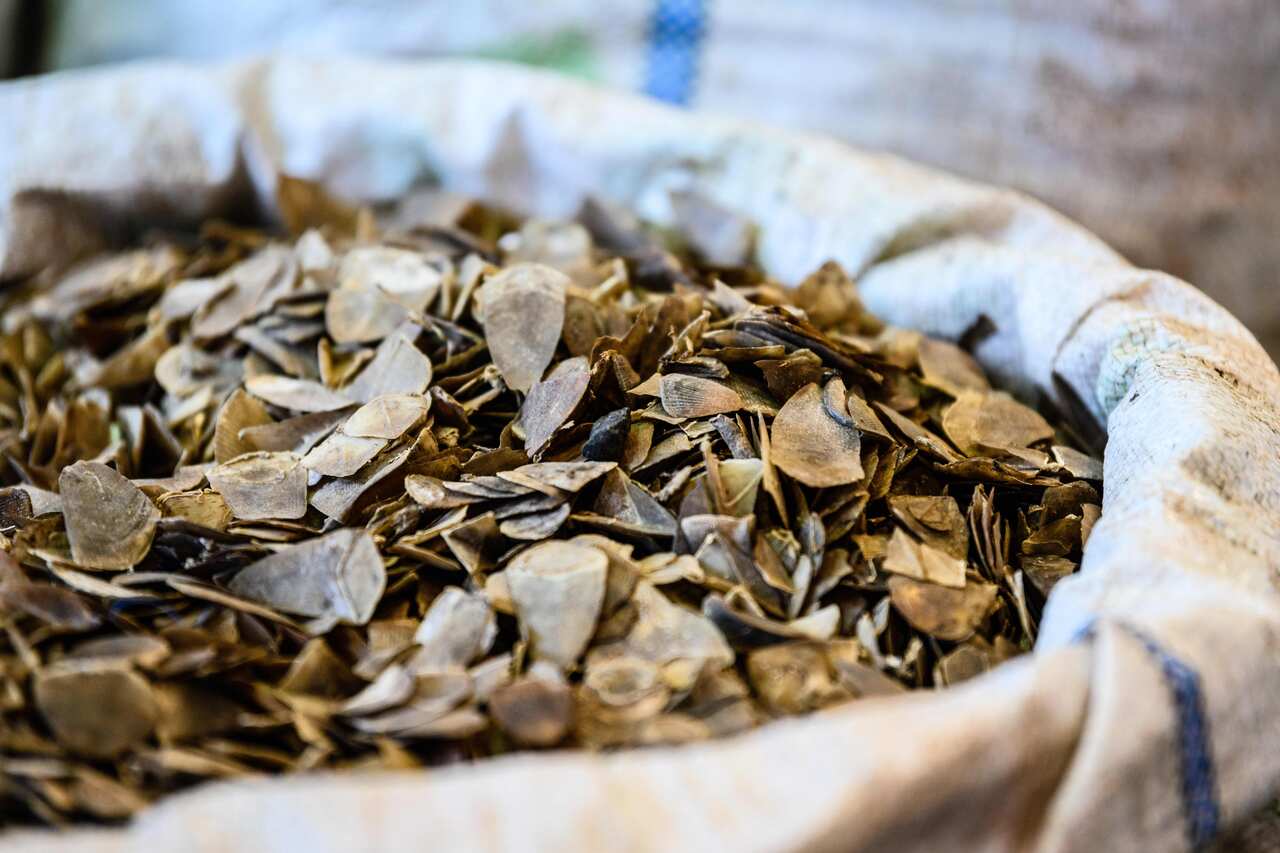 Seized endangered pangolin scales are displayed during a press conference at the Kwai Chung Customhouse Cargo Examination Compound in Hong Kong.