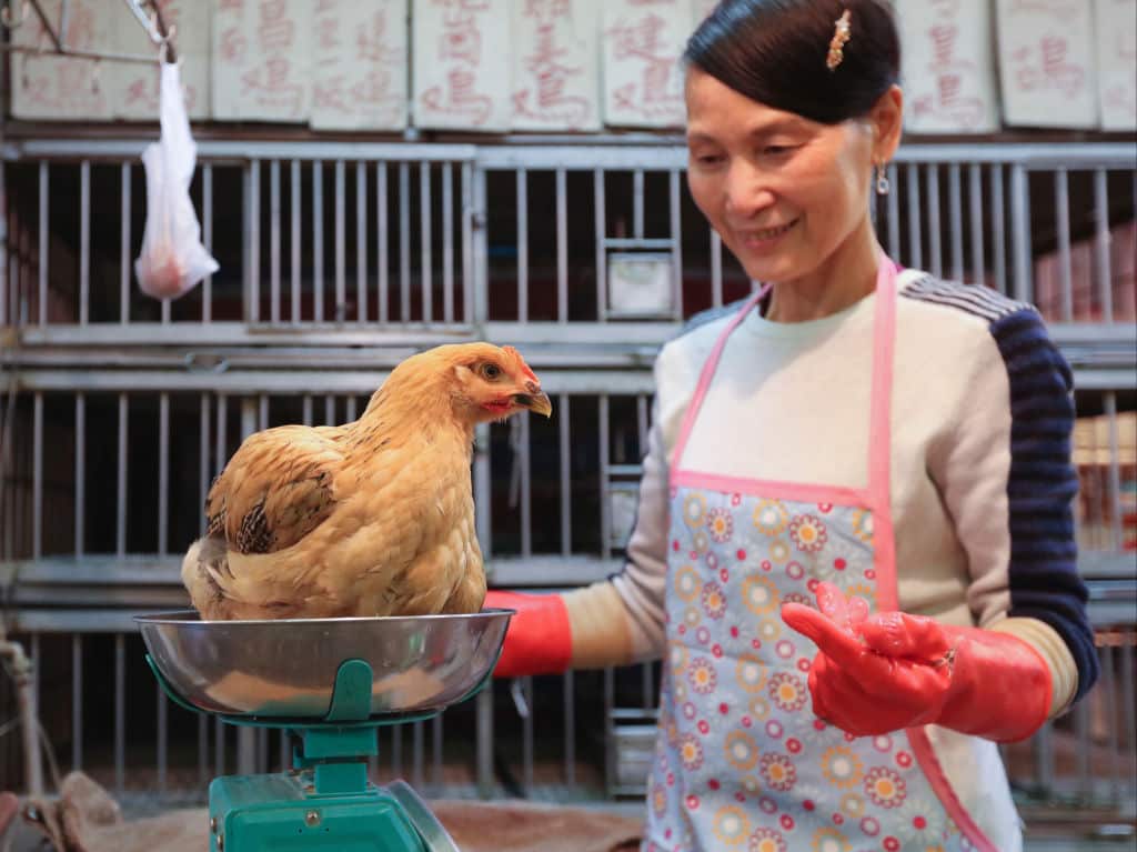 A poultry seller with a live chicken at a wet market in Kowloon City, Hong Kong. 