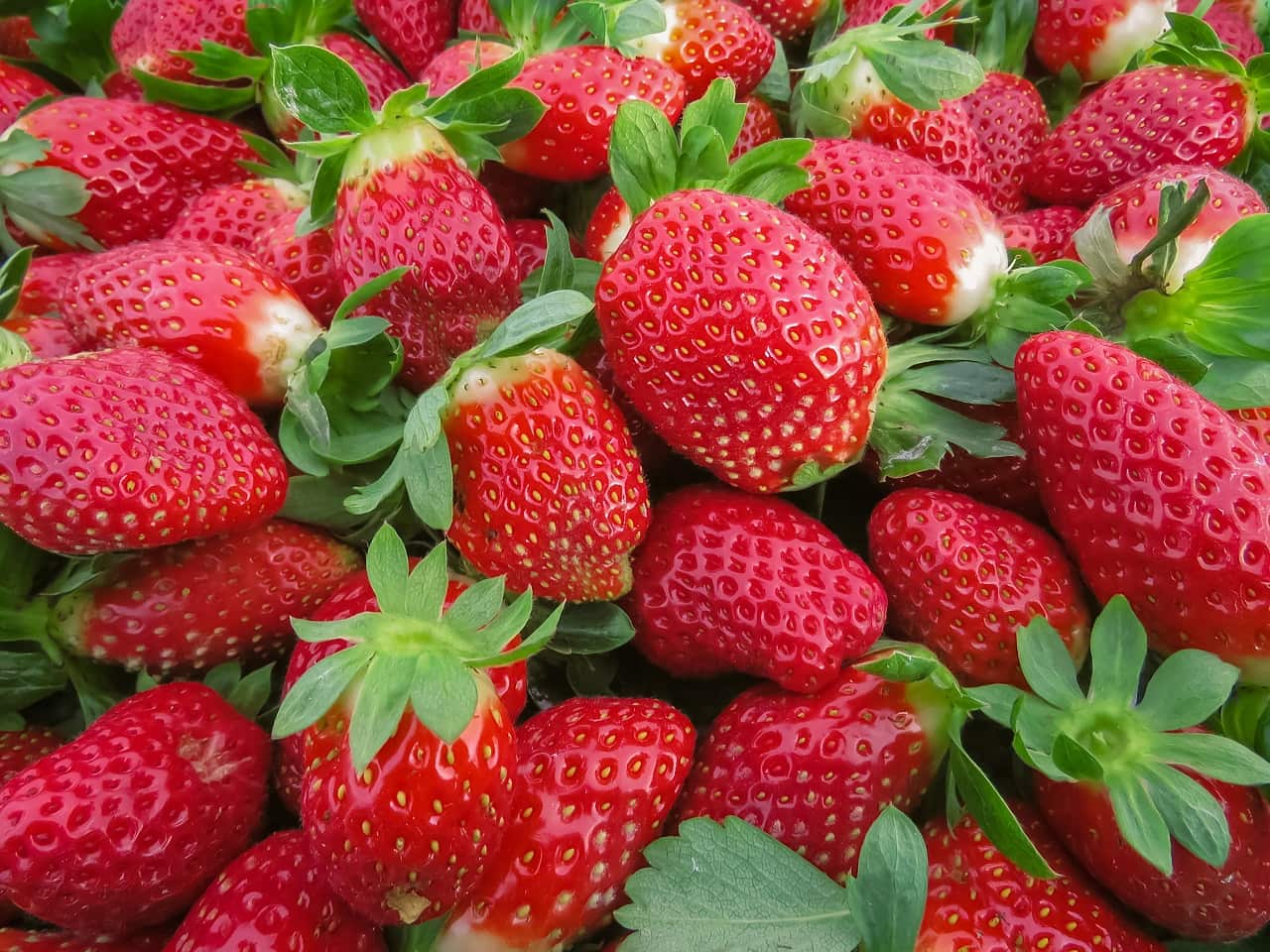 Australian strawberries.