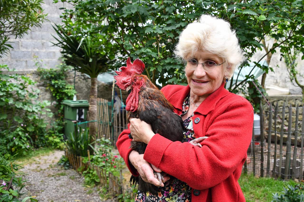 Corinne Fesseau poses with her rooster "Maurice" in her garden at Saint-Pierre-d'Oleron in La Rochelle, 2019.