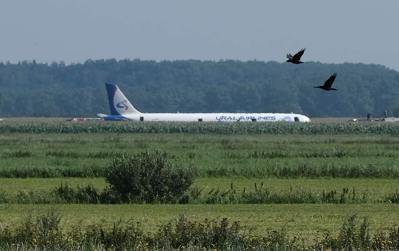 Ural Airlines A321 plane after its hard landing on a corn field near Moscow's Zhukovsky airport.