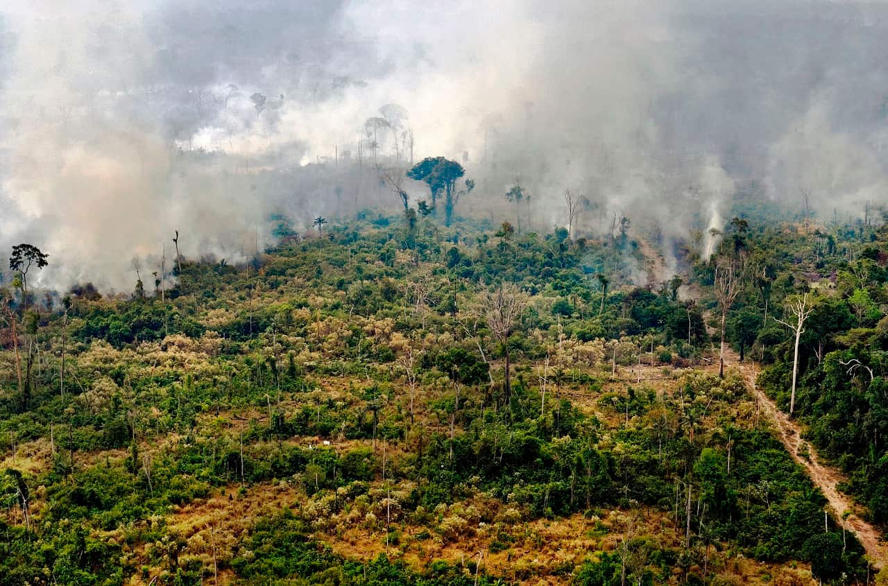 A burnt area in the Amazon rainforest in Brazil.