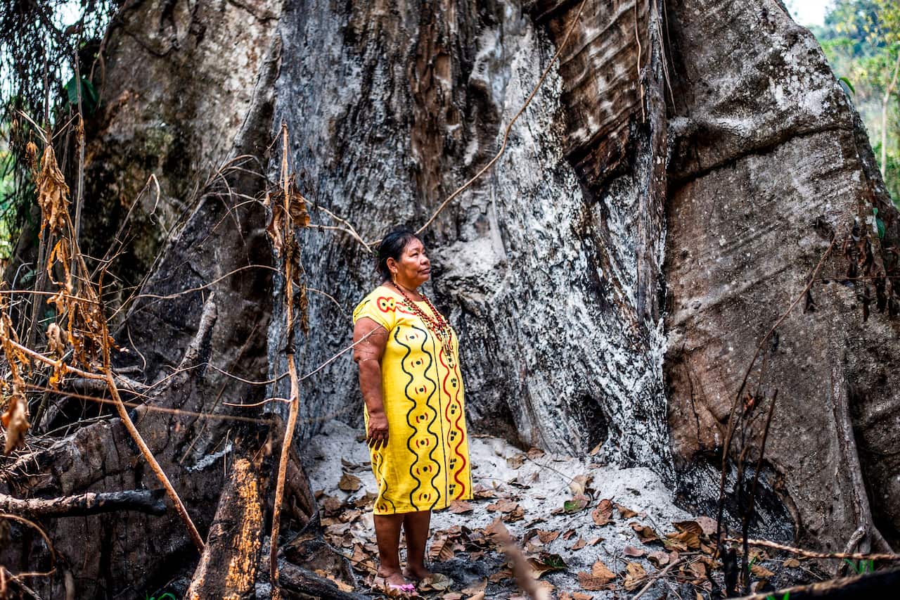 A woman of the Arazaire indigenous group. one of the 38 groups in Madre de Dios region, stands in front of a burned tree near Puerto Maldonado.