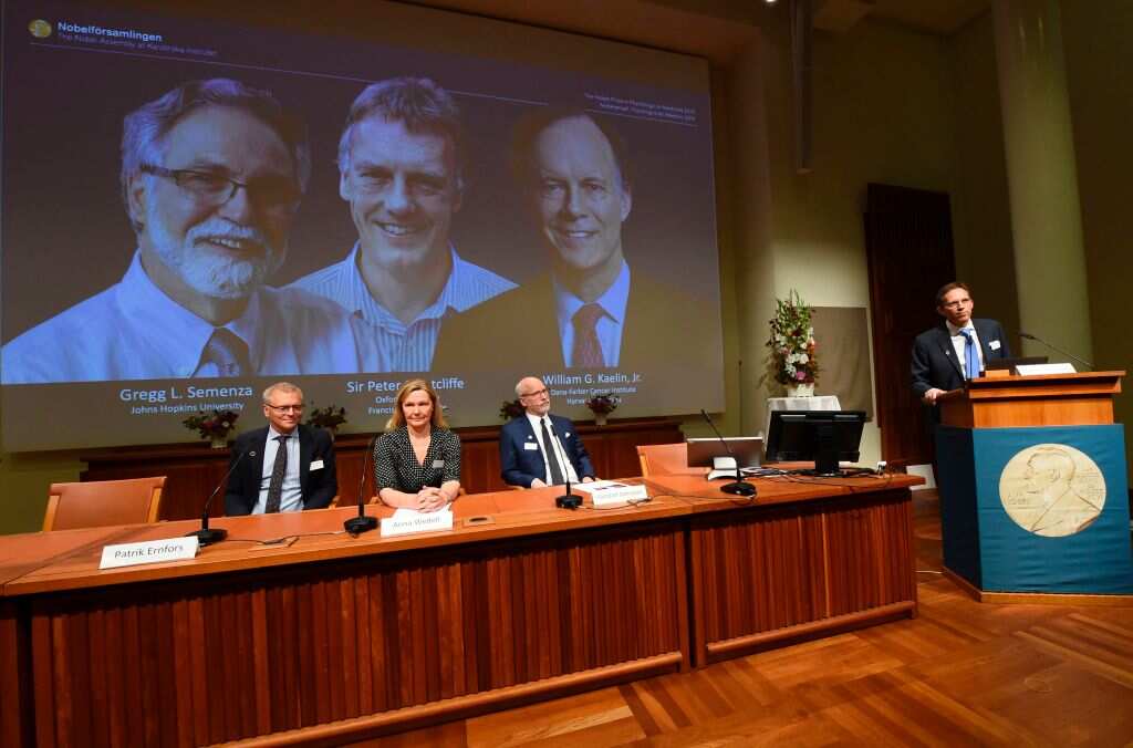 Nobel Assembly members Patrik Ernfors, Anna Wedell and Randall Johnson.