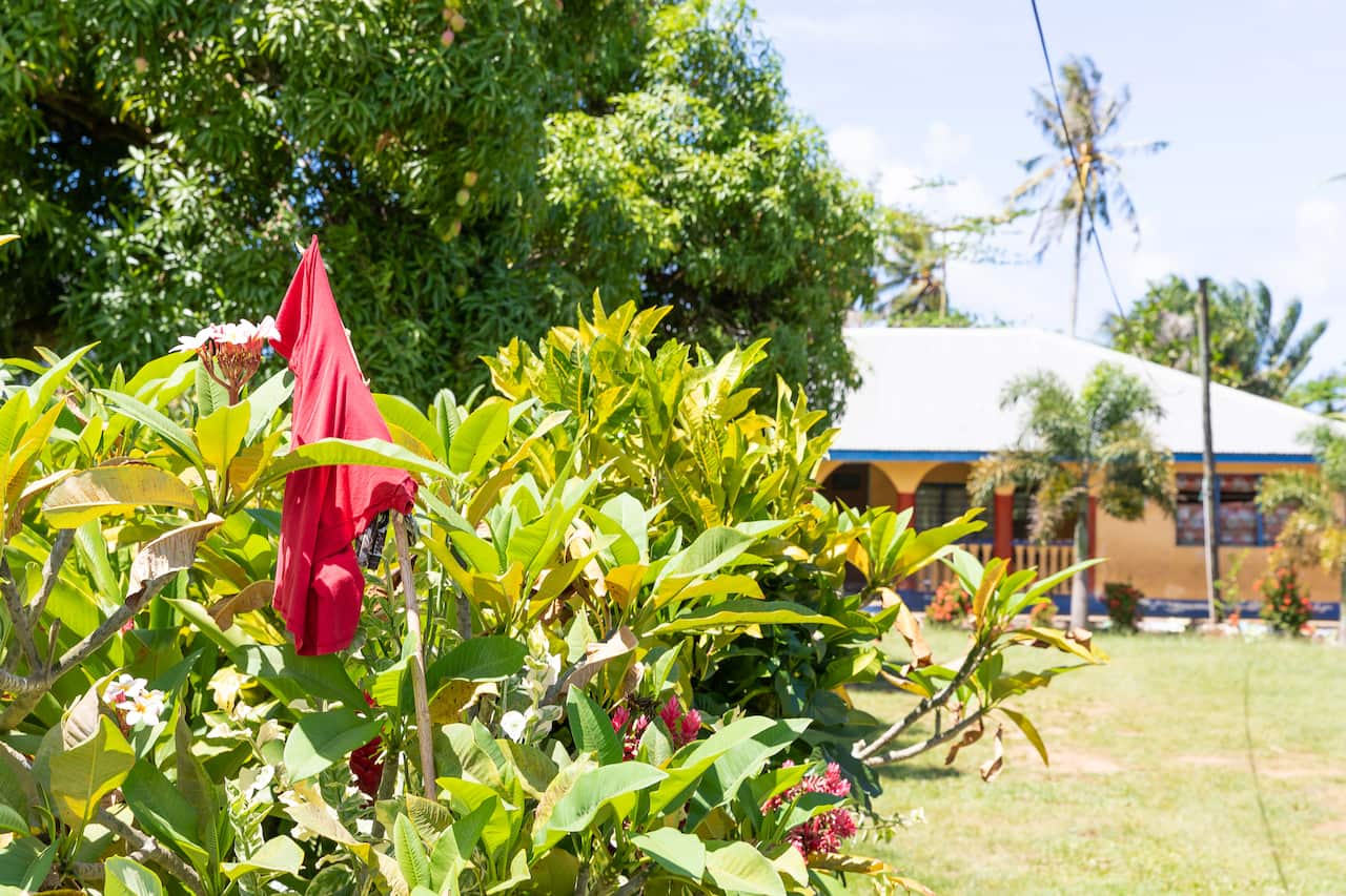 Red flags are seen hanging outside of homes of Apia residents indicating they have not been vaccinated for measles.