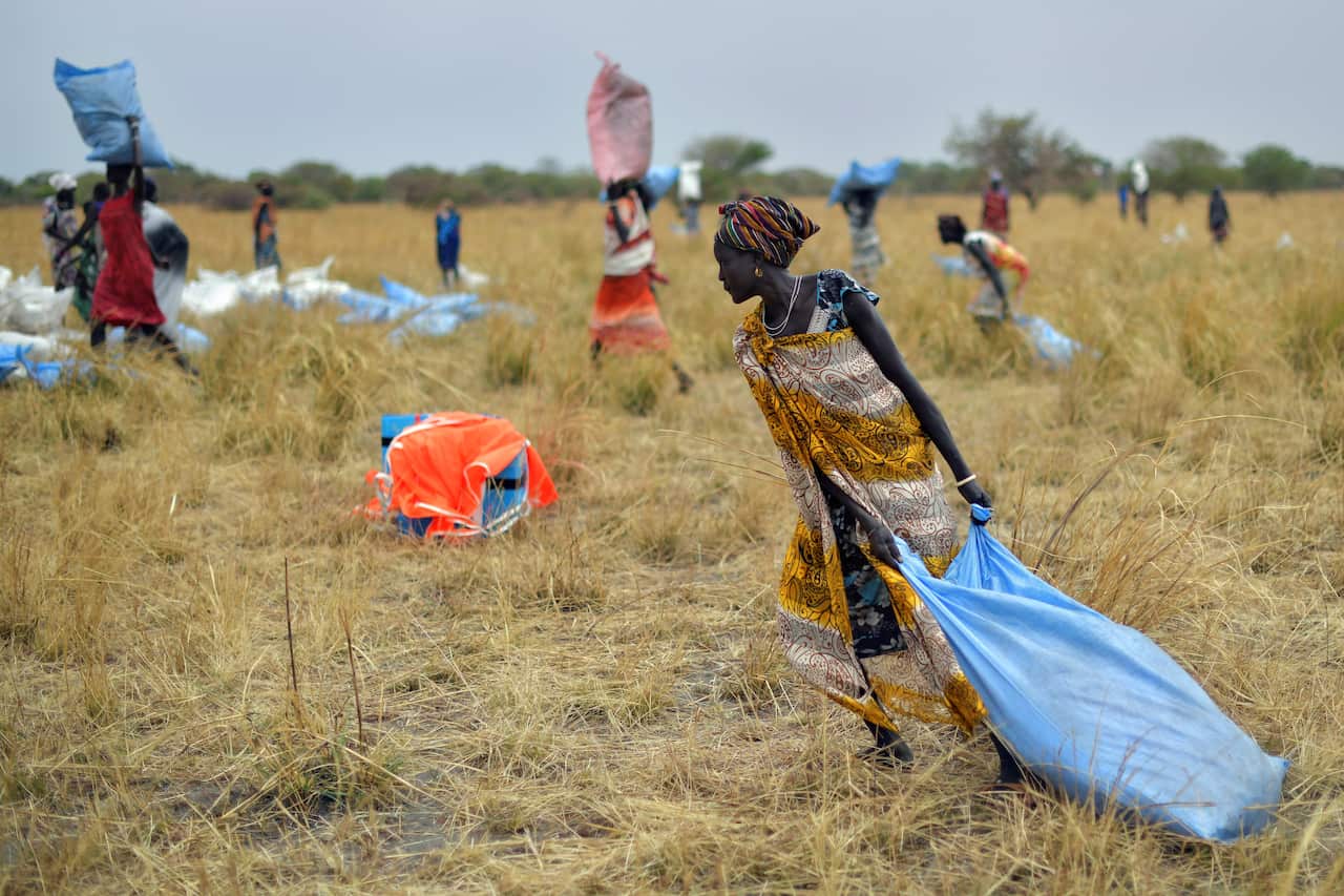 Villagers collecting food aid dropped from a plane. 