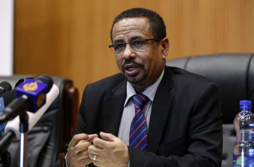 Chief Executive of the Provisional Administration of Tigray National Regional State, Mulu Nega.