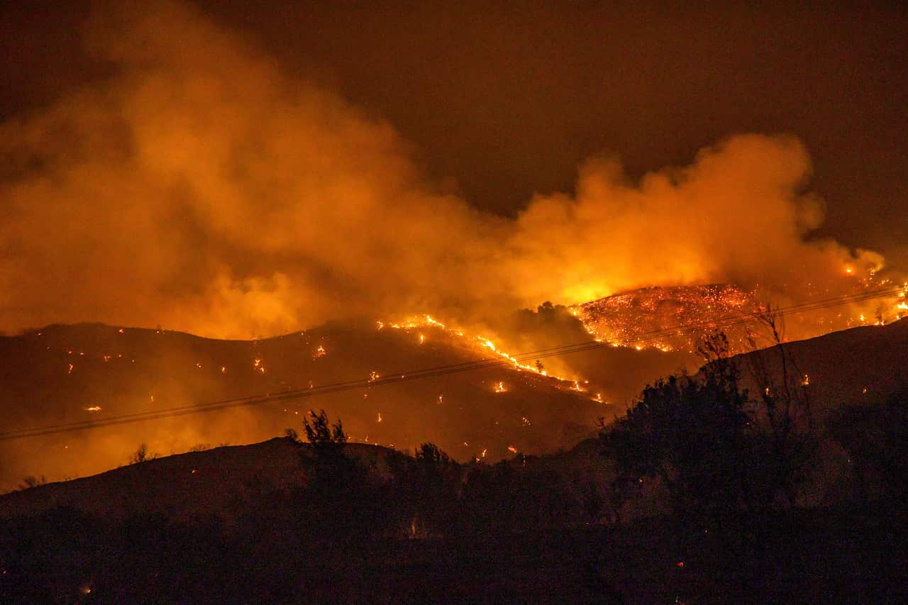 Trees burn in a forest on the slopes of the Throodos mountain chain, as a giant fire rages in Cyprus, on the night of 3 July, 2021.