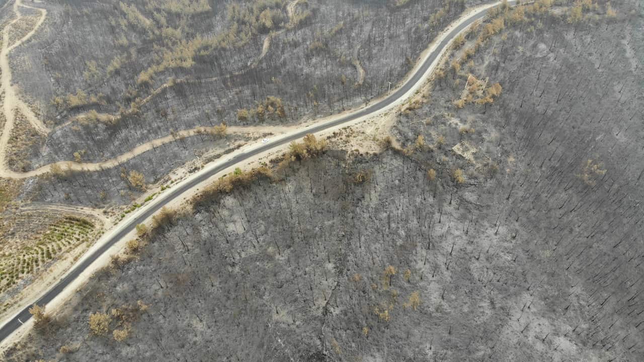 A drone photo shows a burnt forest field after fires in the Manavgat district of Antalya, Turkey on 7 August, 2021.