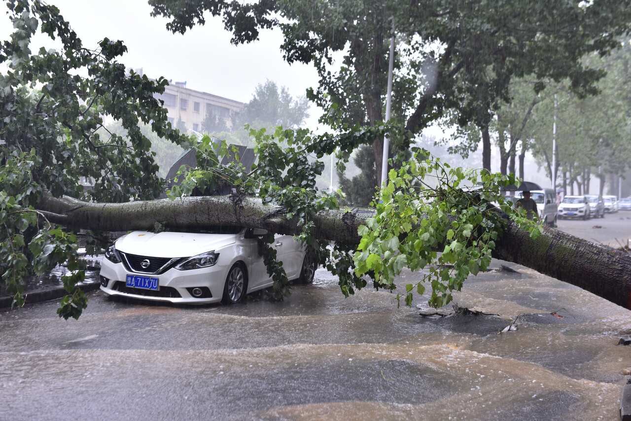 A car is damaged by a fallen tree on 20 July, 2021 in Dengfeng, Zhengzhou City, Henan Province of China. 