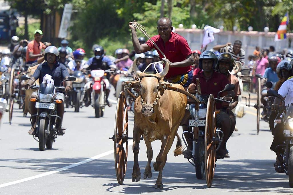 Singhalese New Years