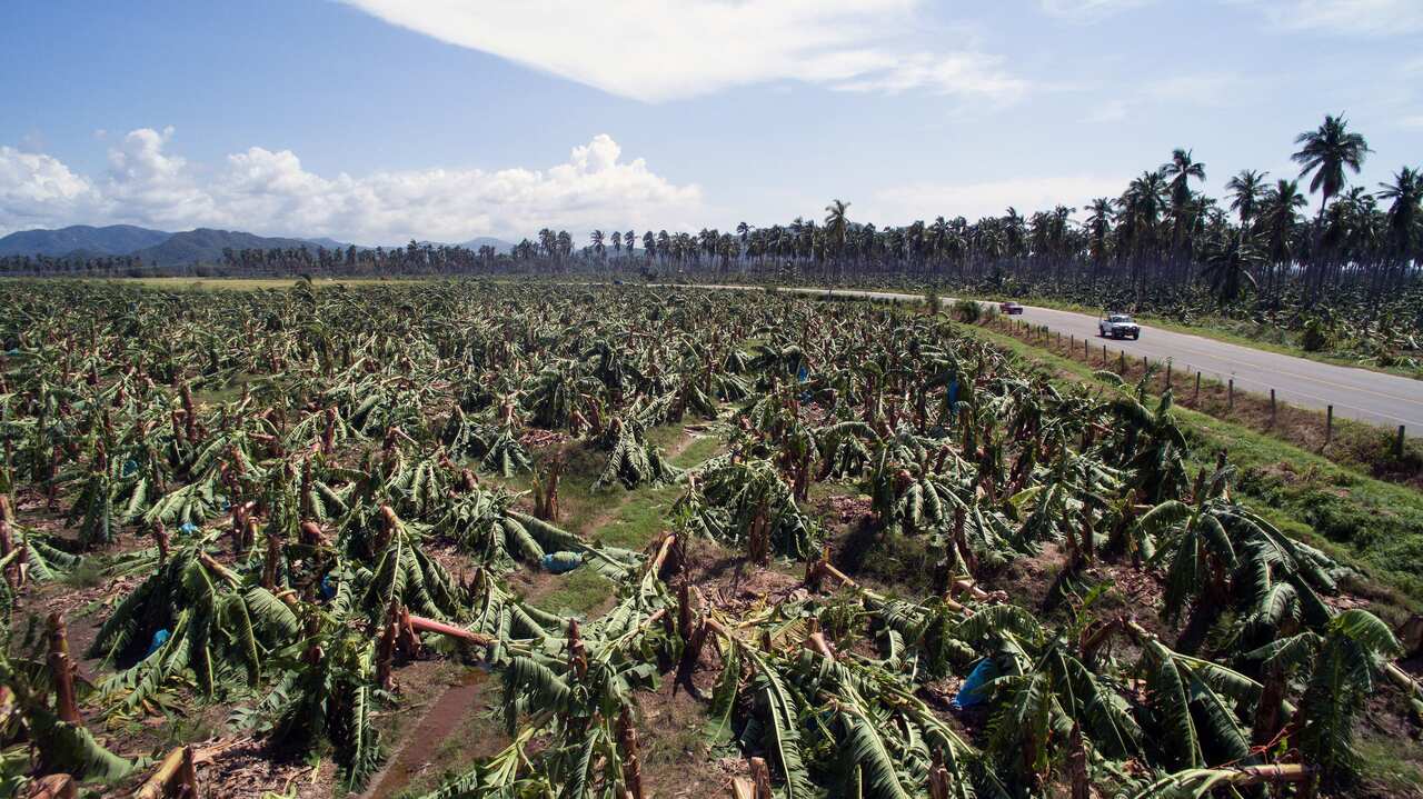 Aerial view of the Chabarim community in Colima State, Mexico on October 24, 2015 after the passage of hurricane Patricia. (Getty)