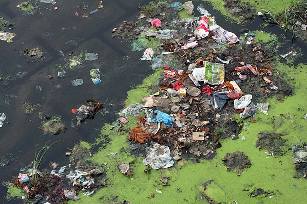 Waste Material in Yamuna River
