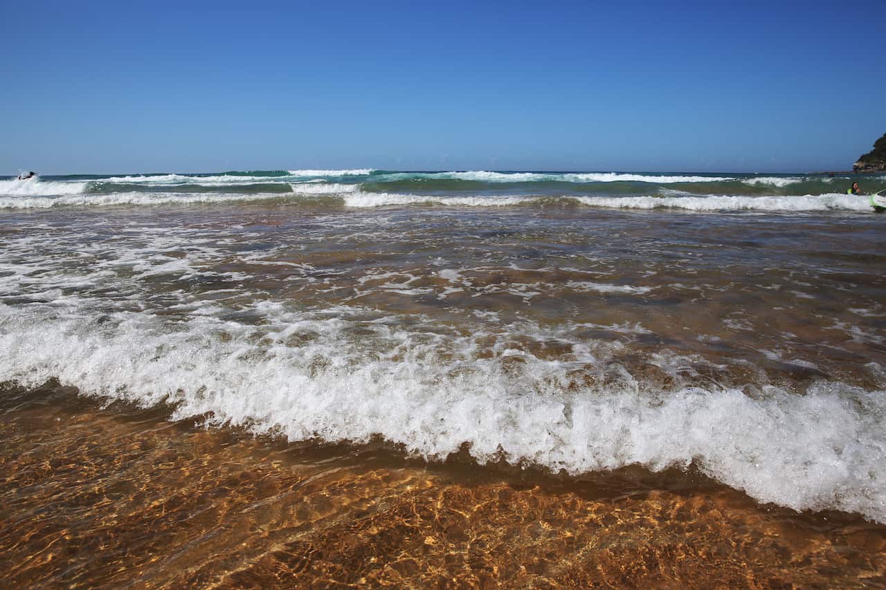 Whale Beach in Sydney 