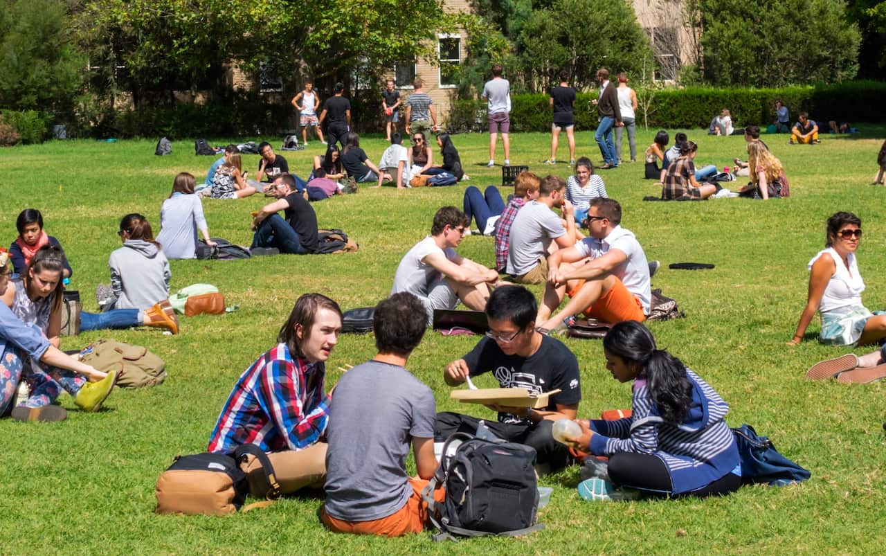 There are concerns internationals students could be left open to exploitation. 