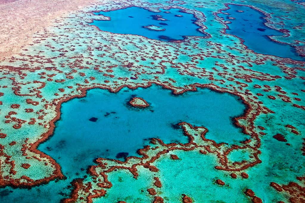 Aerial view of heart-shaped Heart Reef