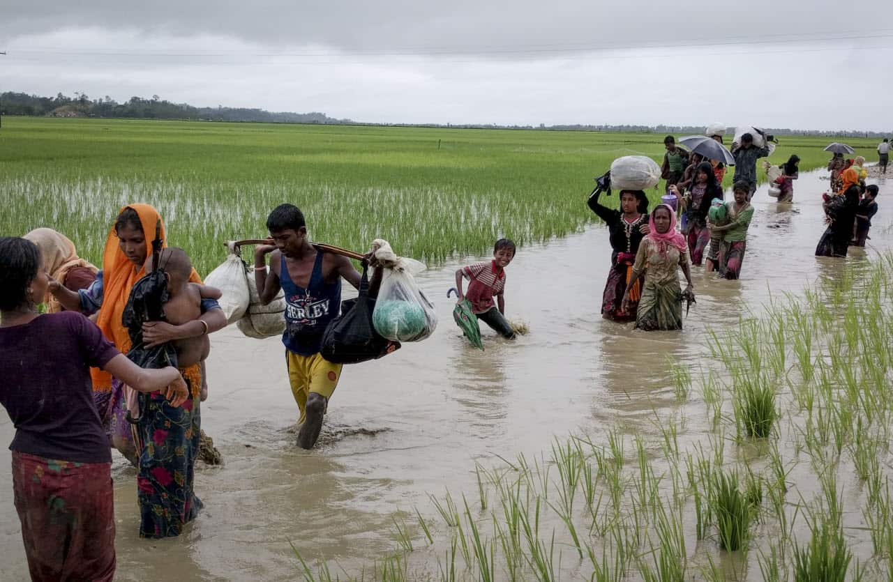 Rohingya Refugees