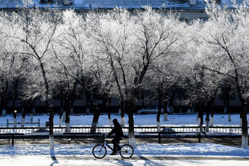 17 million trees were planted in Kazakhstan as part of a previous Earth Hour campaign.