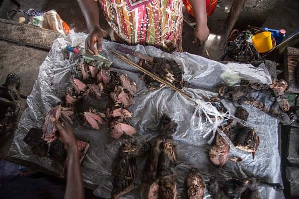 Bush meat is on display at a market in Mbandaka on May 22, 2018.