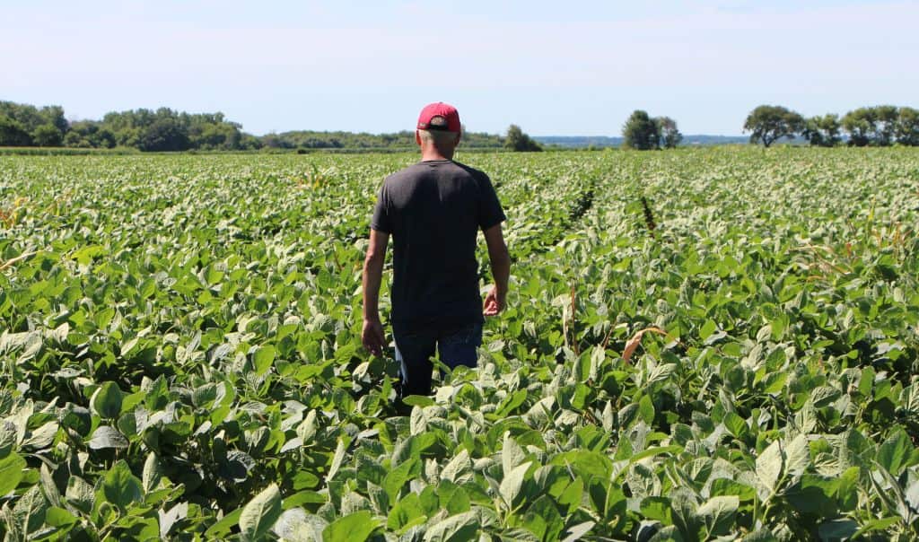 Soybean exports were up more than 50 percent in May from a year earlier as trade tensions led foreign buyers to stock up on American products.
