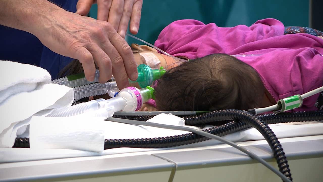 Twins Nima and Dawa were subjected to a number of health checks in preparation for surgery.
