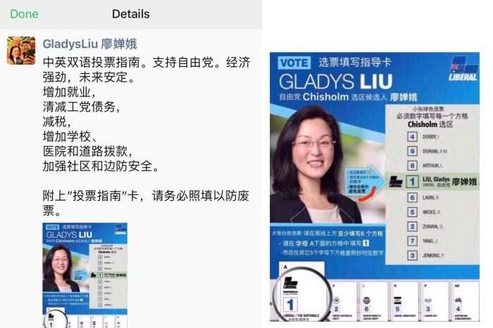 A screenshot of Gladys Liu's WeChat account and the how-to-vote card set to be the subject of a legal challenge. 