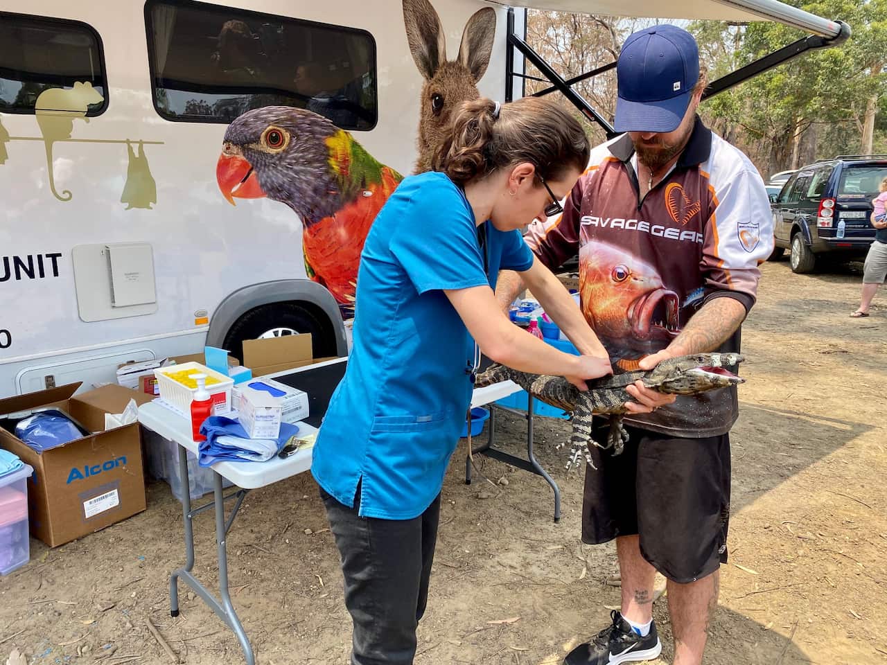 Dr Izi Sladakovic assessing an injured lace monitor.