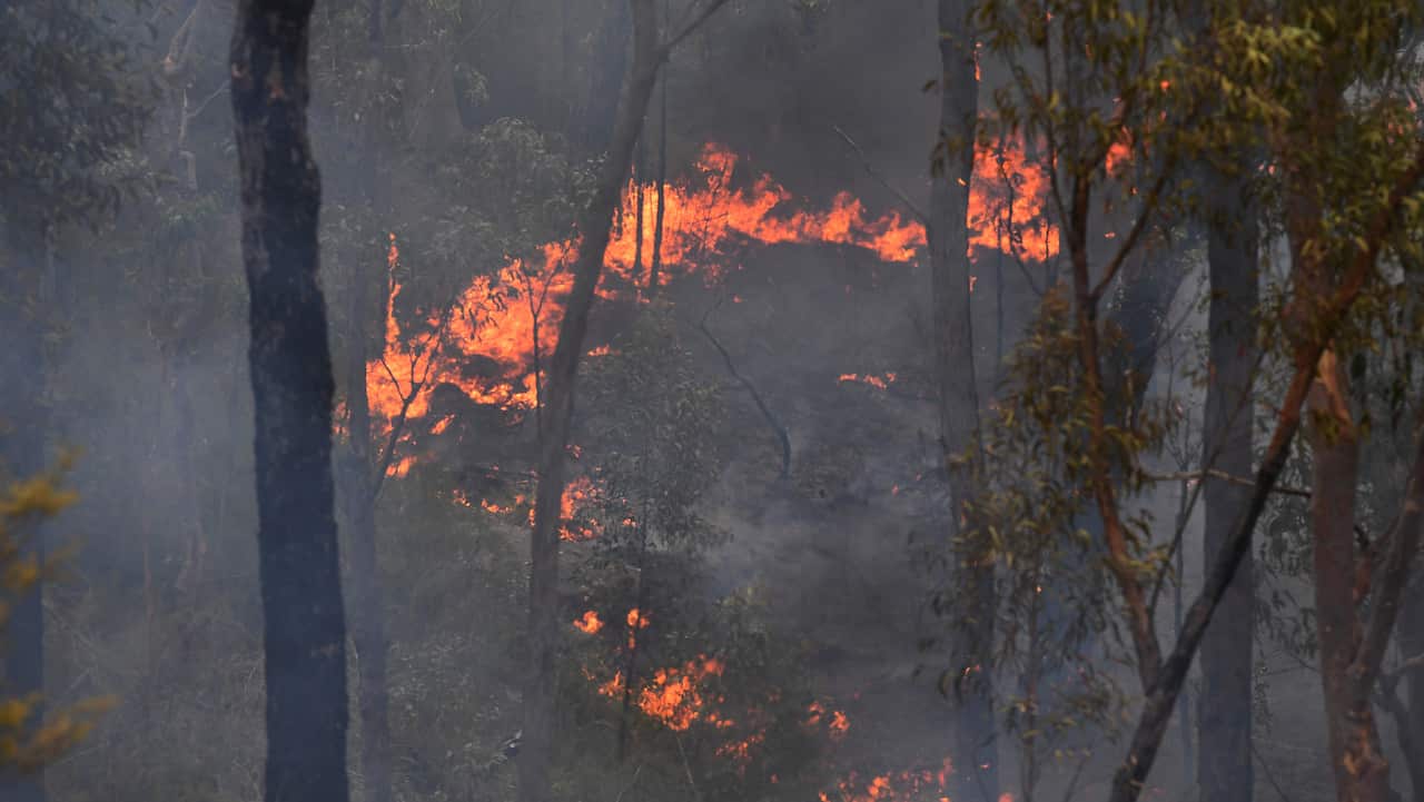 Gospers Mountain Fire as it burns towards the village of Bilpin on 10 December 2019.  