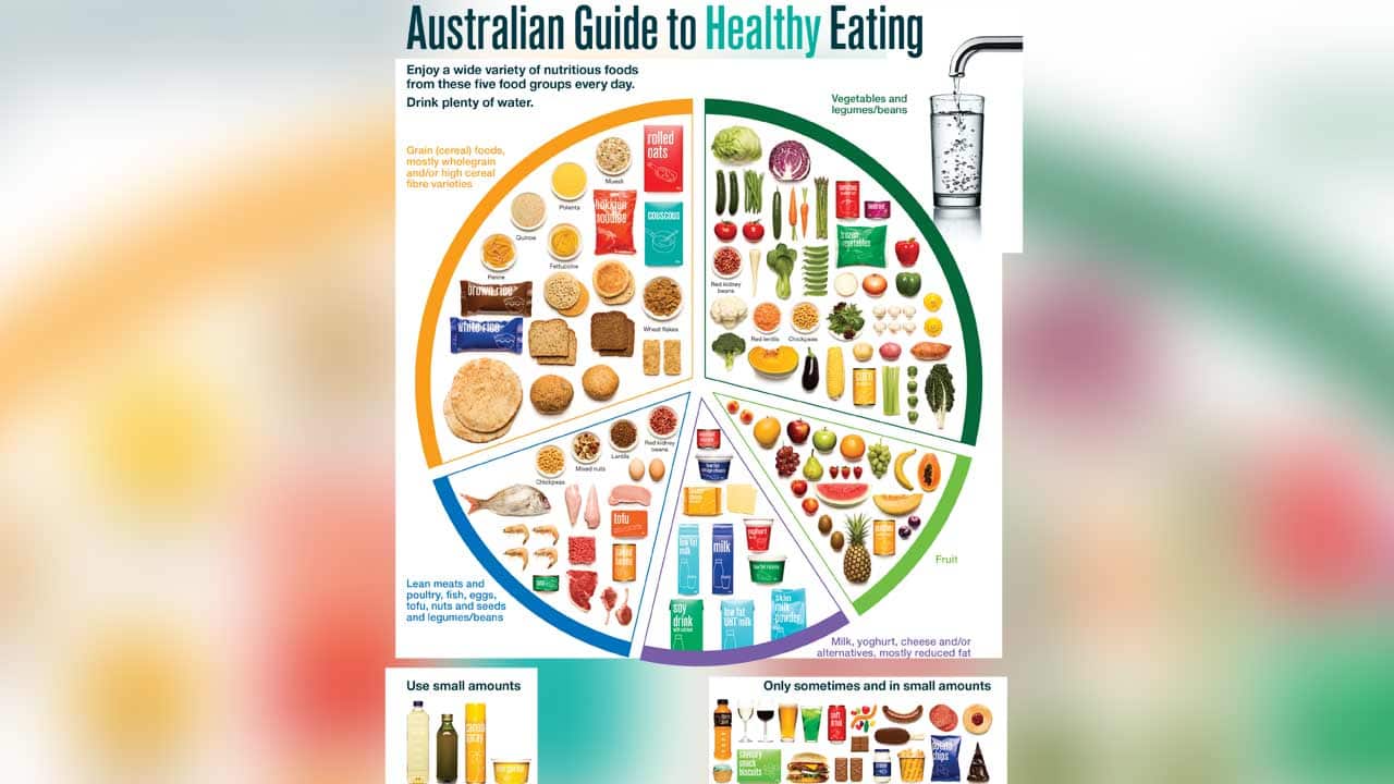 The Australian Guide to Healthy Eating is a guide which visually represents the proportion of the five food groups recommended for daily consumption.