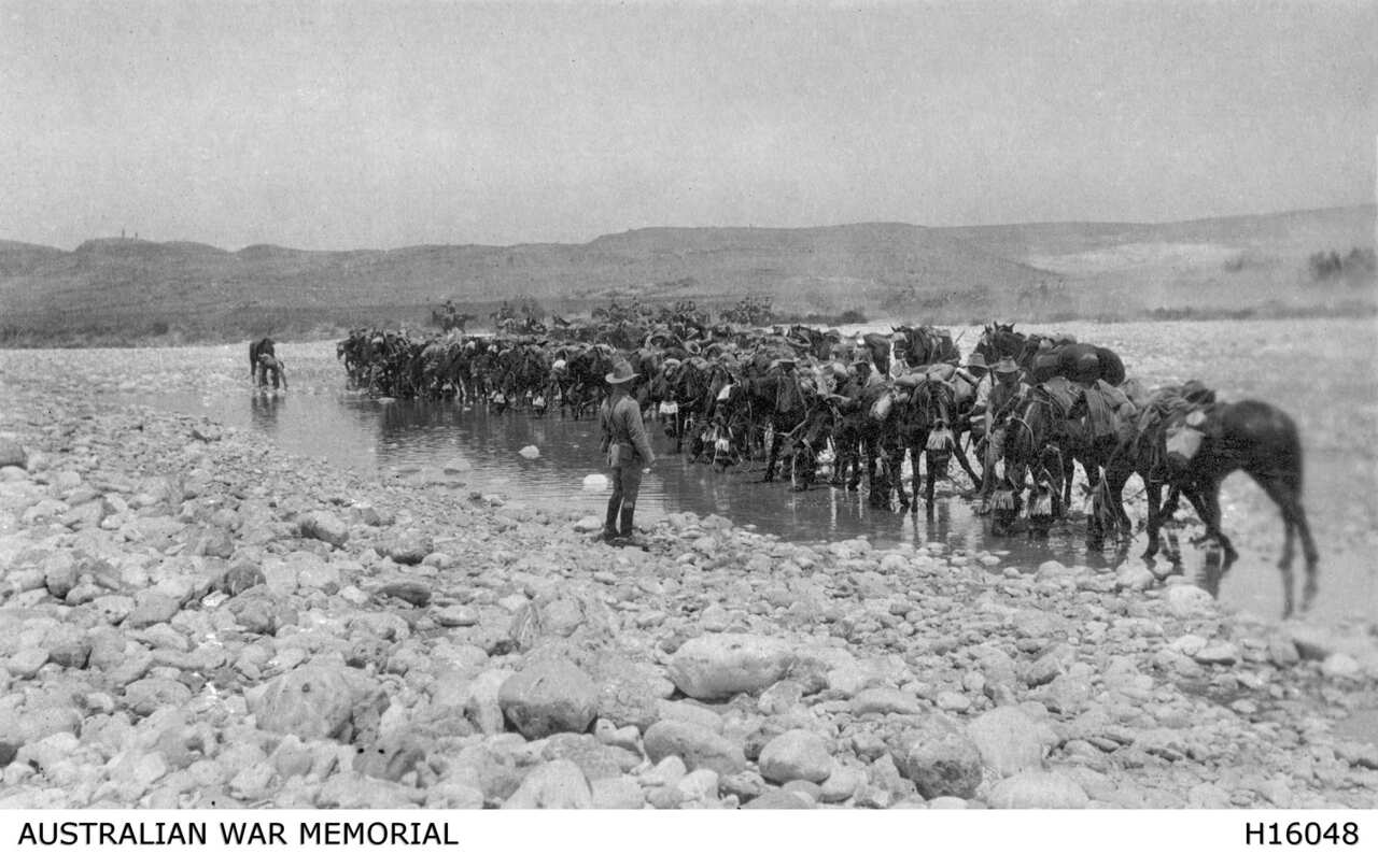 Light horsemen with their horses circa 1916.