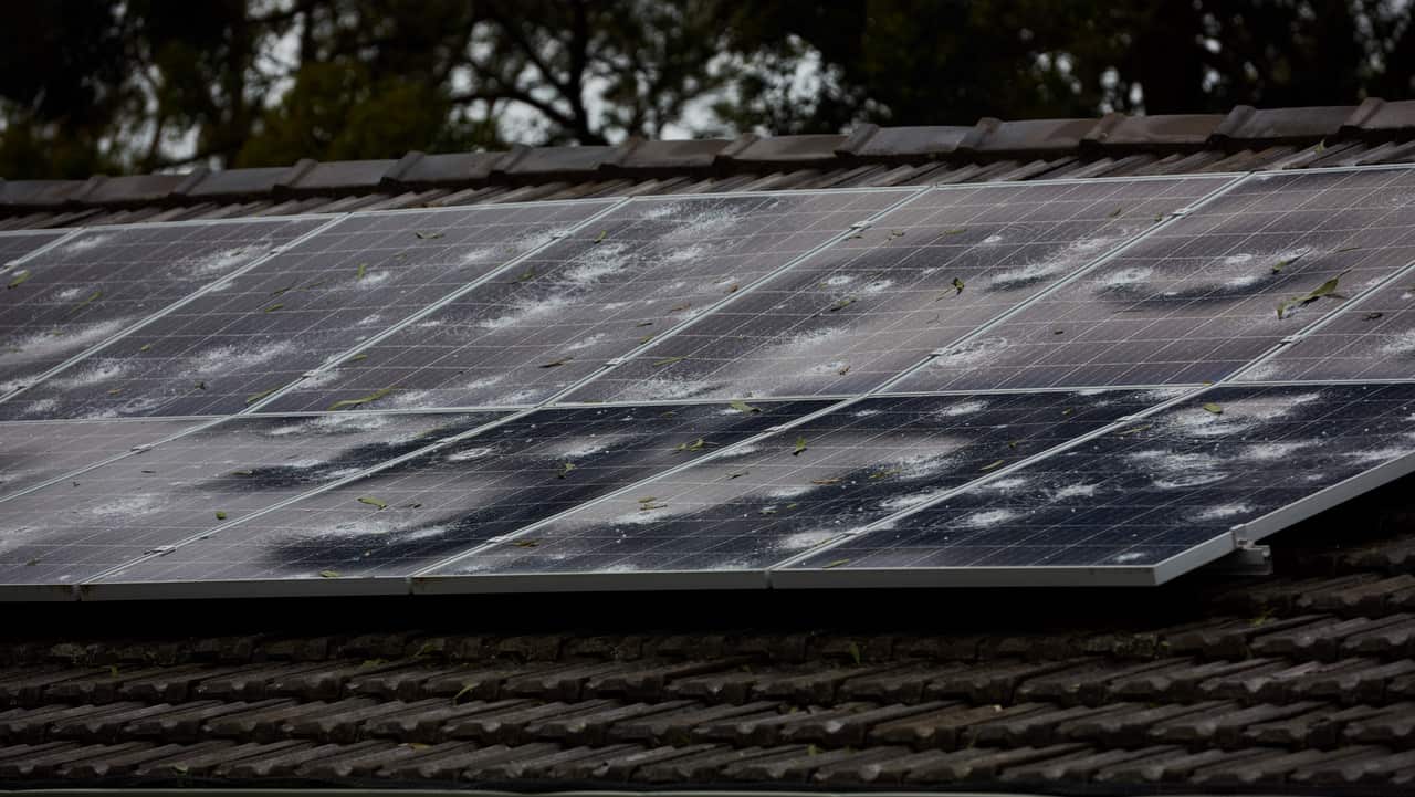 Damaged solar panels are seen after a hail storm overnight in Berowra Heights.