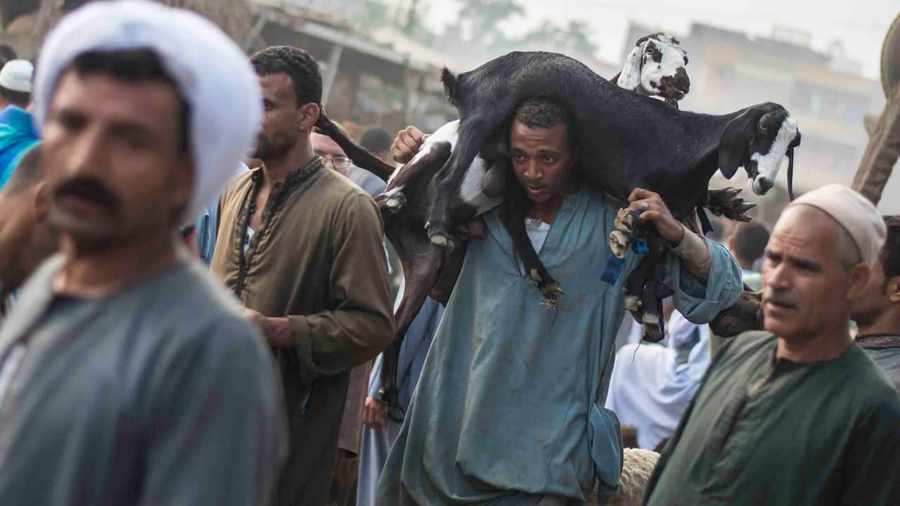 Muslims slaughter a sacrificial animal and split the meat into three parts, one for the family, one for friends and relatives, and one for the poor and needy.