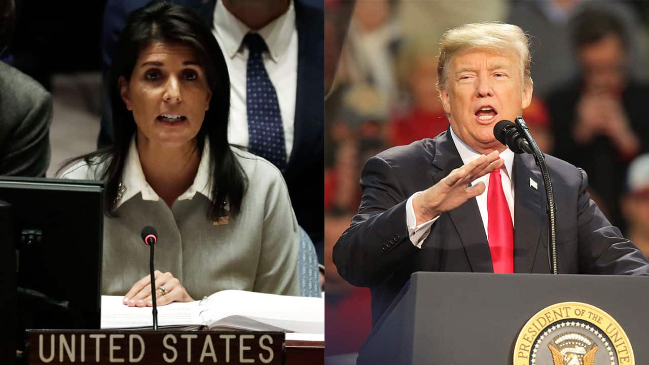 Composite image: Nikki Haley, the US ambassador to the United Nations (L) and US President Donald Trump