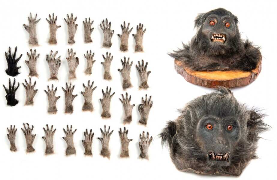 Monkey parts Photo courtesy of London Metropolitan Police.