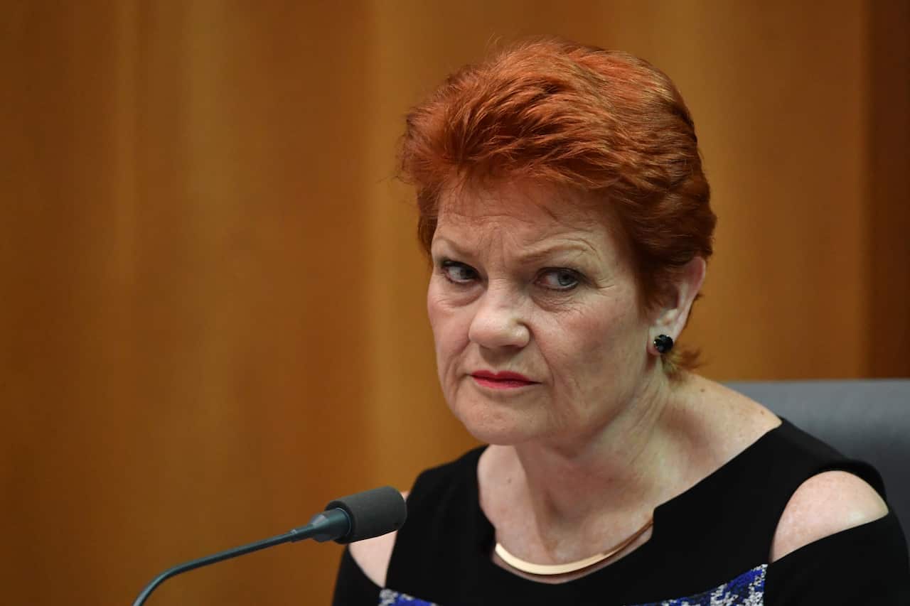 One Nation leader Senator Pauline Hanson at a Senate Estimates hearing at Parliament House in Canberra, Wednesday, October 23, 2019. 