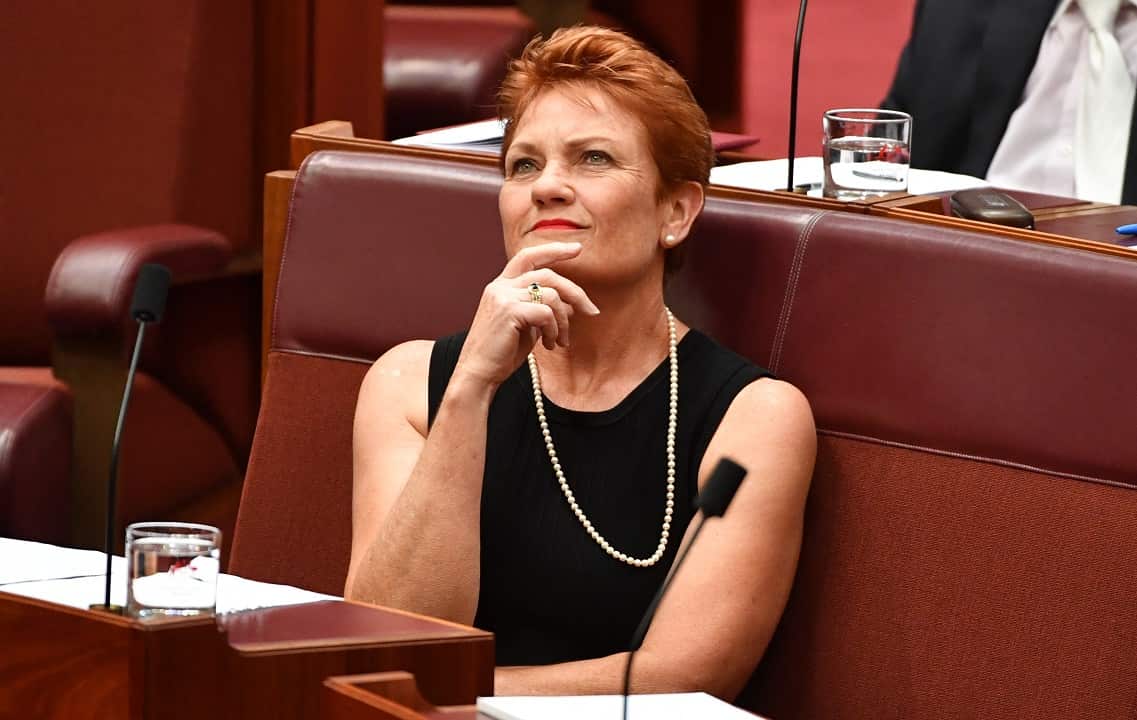 One Nation leader Senator Pauline Hanson
